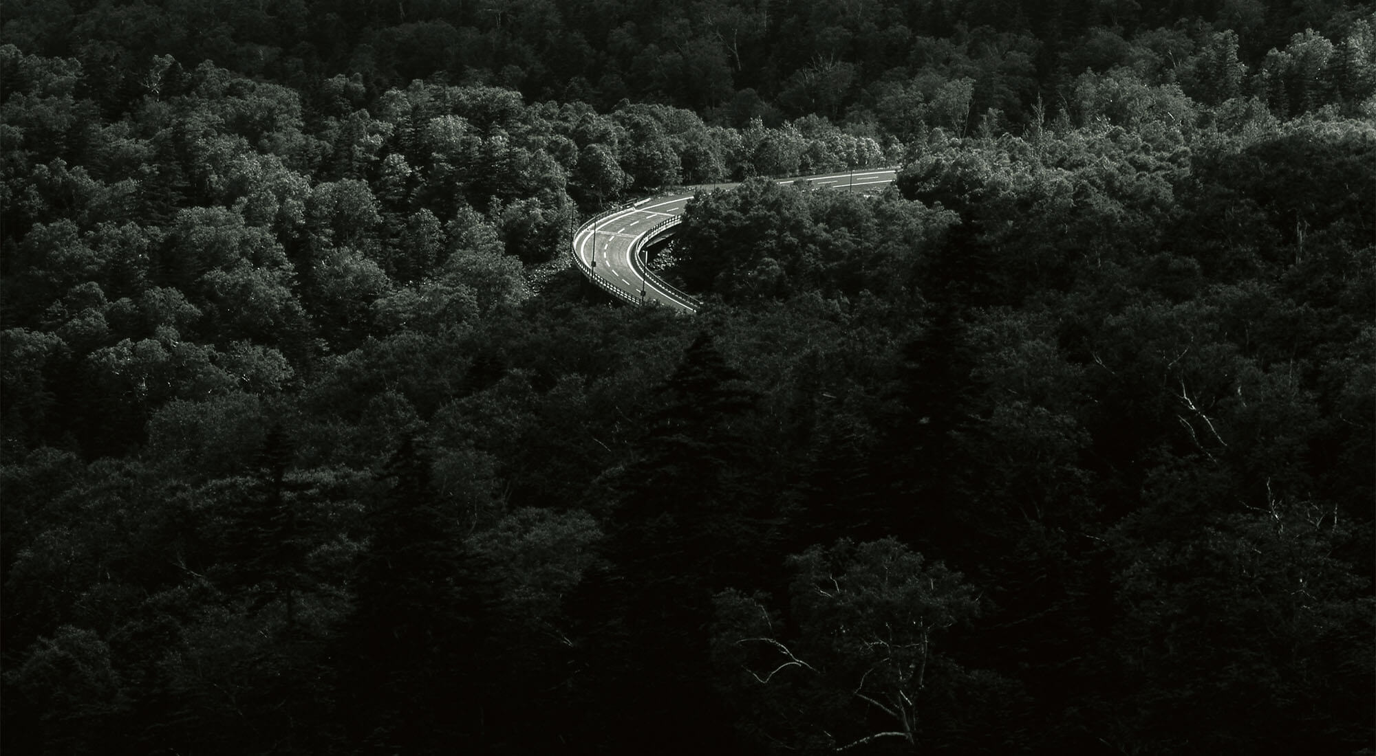 トップのスライドイメージ